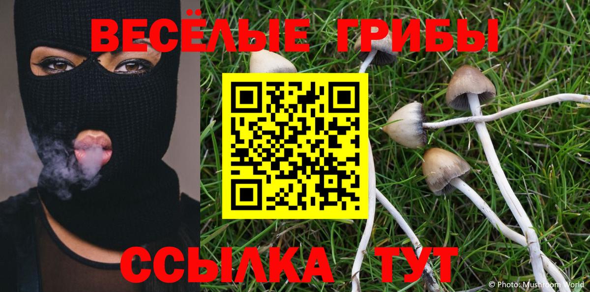 Канск  Галлюциногенные грибы Cubensis  Вход с VPN  Галлюциногенные грибы GOLDEN TEACHER 