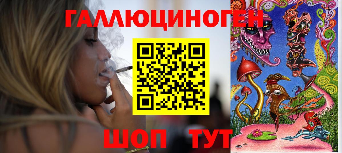 Галлюциногенные грибы Cubensis Канск